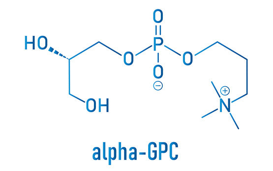 Alpha GPC molecule