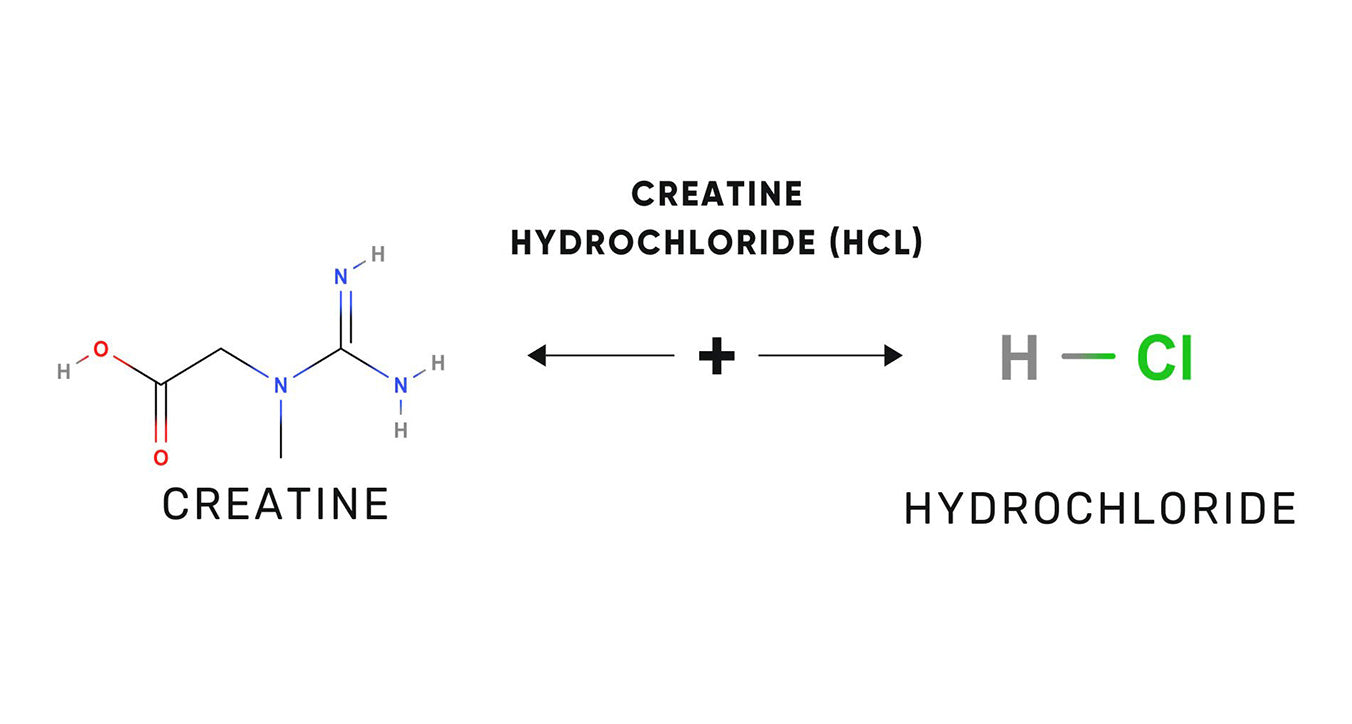 Creatine HydroChloride