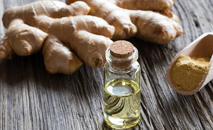 Ginger Root Extract