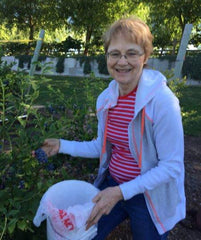 Picking Blueberries at Blueberry Hill