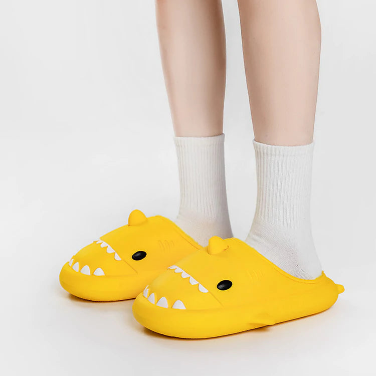shark slides cozies