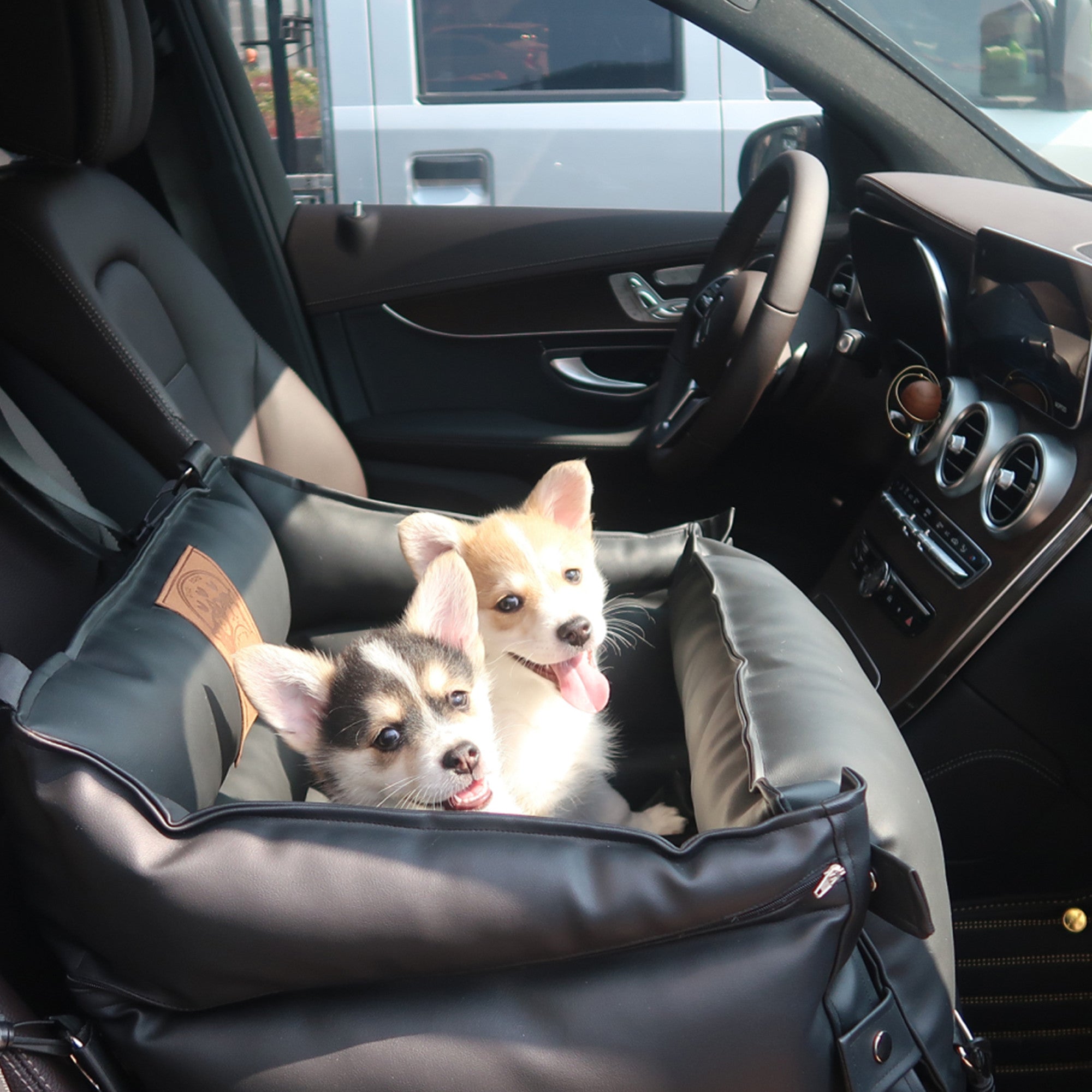 how to take dog hair out of car seats