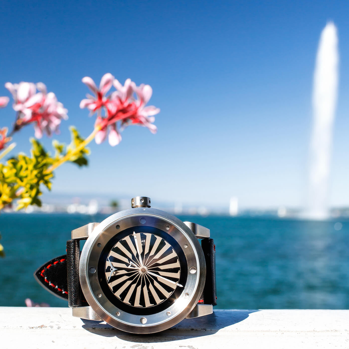 ZINVO Geneva Lake Watches