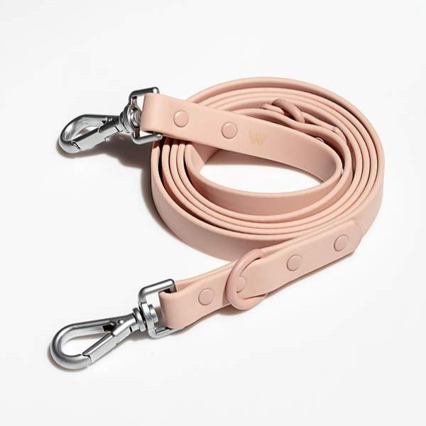 blush dog leash