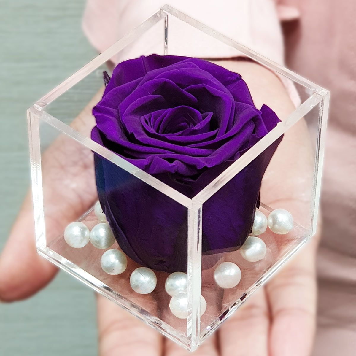 Long Lasting Preserved Forever Rose Purple - Real Flower