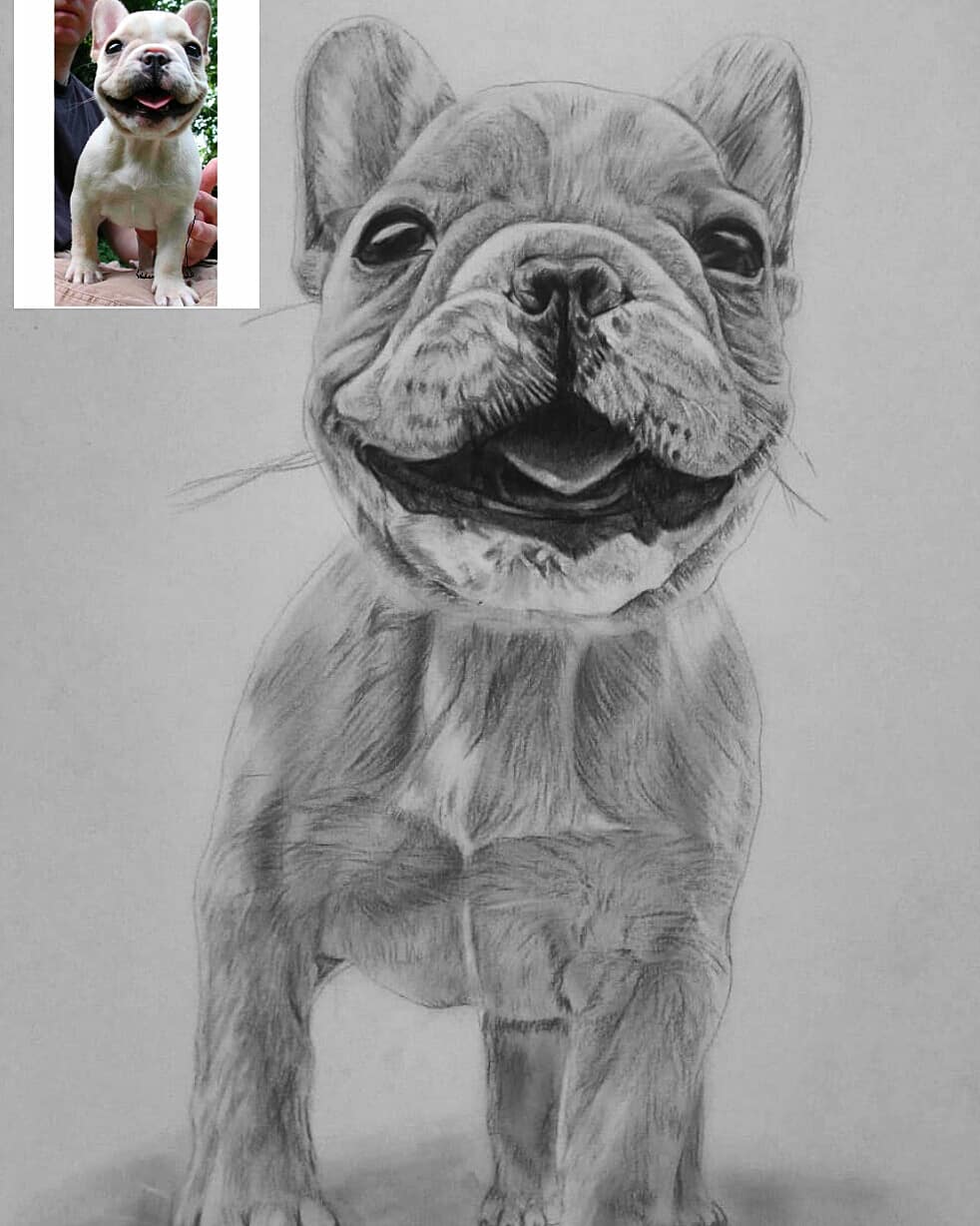 Buy this exciting Pet Pencil Drawing From Photo for your loved one ...