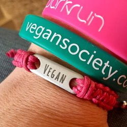 Ladies Vegan Bracelet Pink Cord Friendship Adjustable Charm