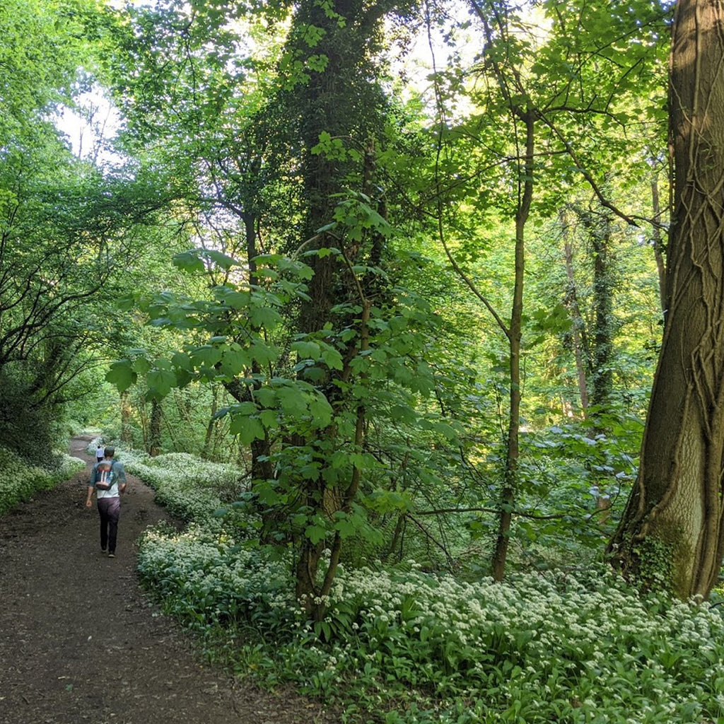 shropshire walk