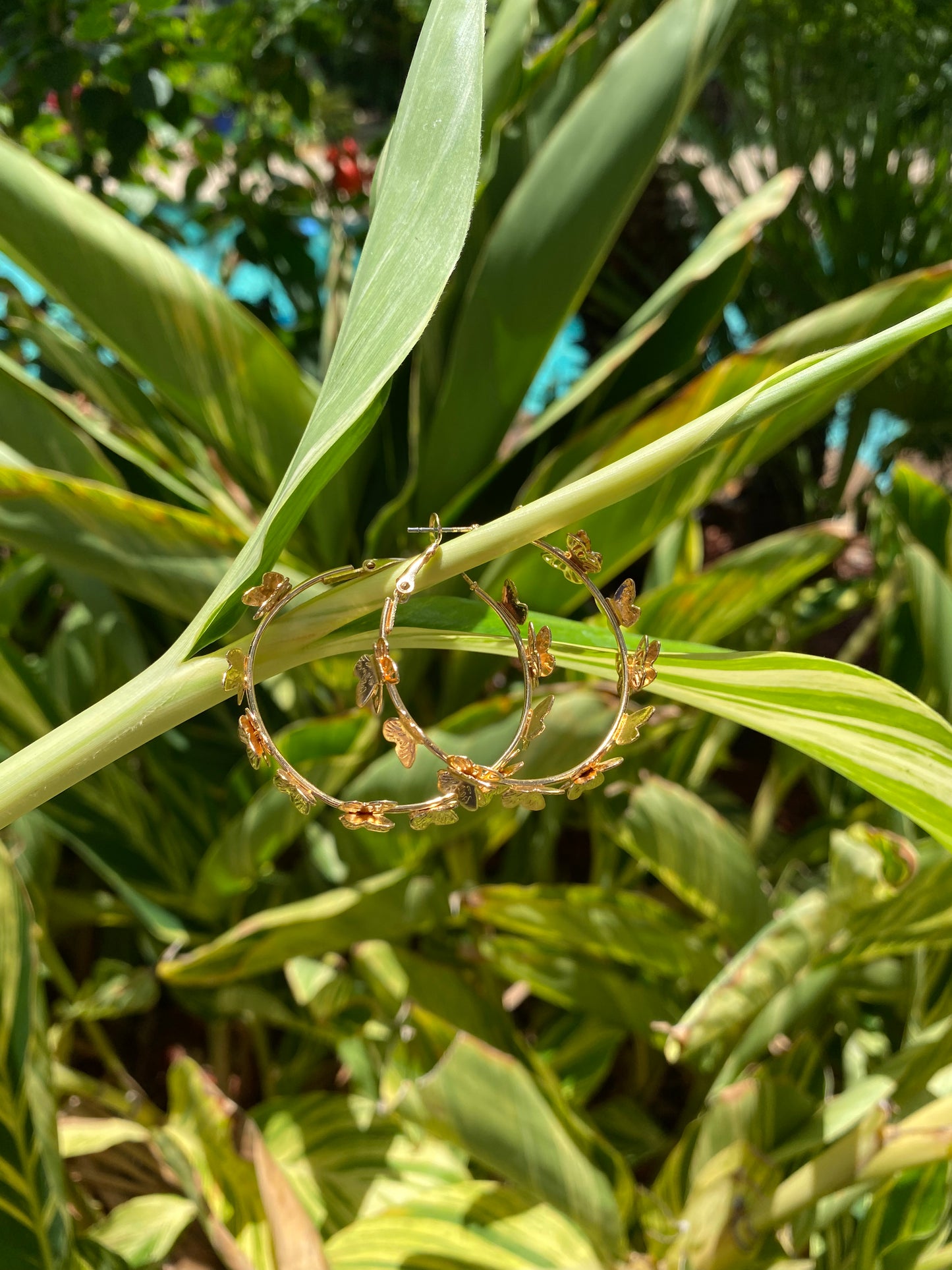 Butterfly Hoops