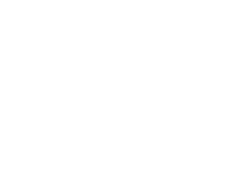 Messier Bicyclettes - Boutique en ligne de vélo