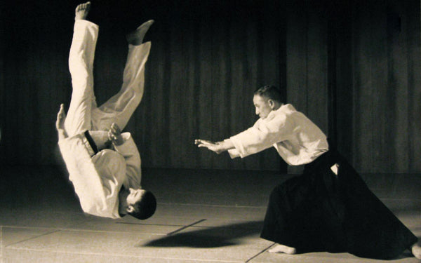 Menina E Mestre Aikido Lutando Com Espada De Madeira Durante a