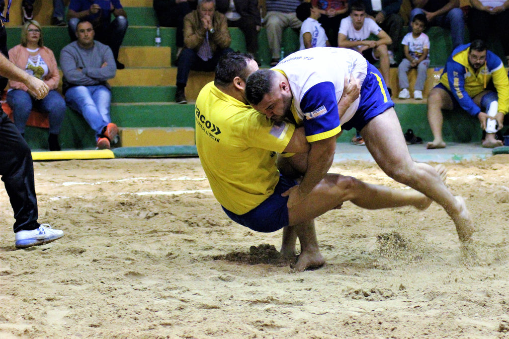 Historia e origem da Luta Livre - Wrestling - Aprender Jogando 