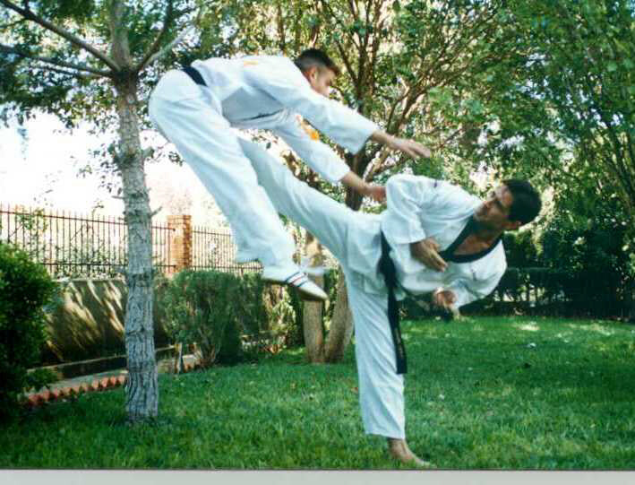 Reanimar vestíbulo huella dactilar Taekwondo 5 mitos falsos de este arte marcial - Solo Artes Marciales
