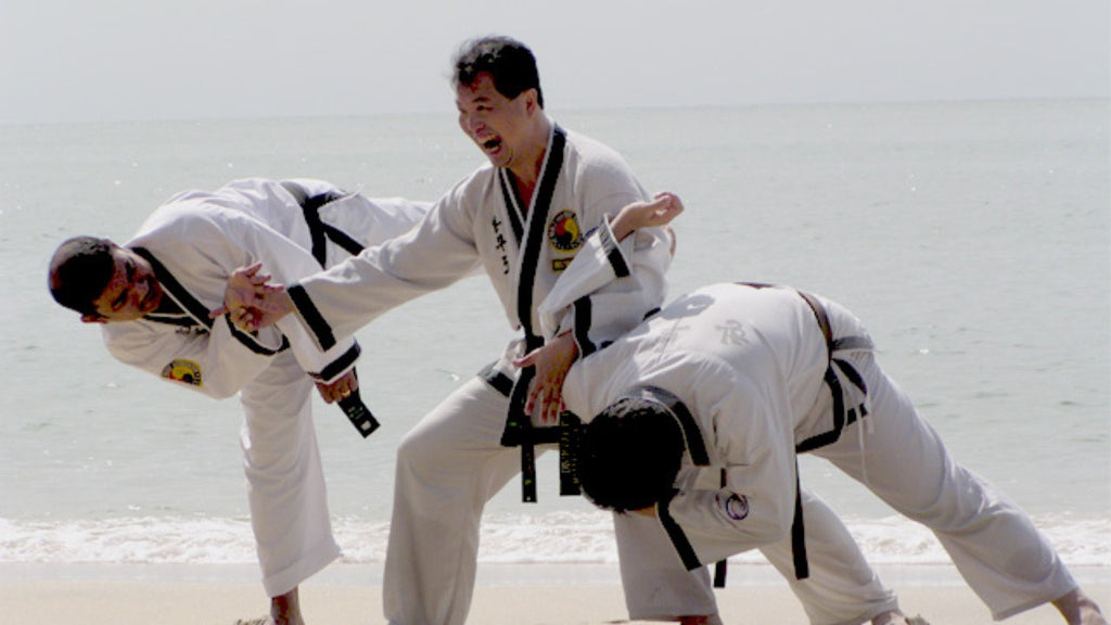 Hapkido. Origen, técnicas y equipamiento