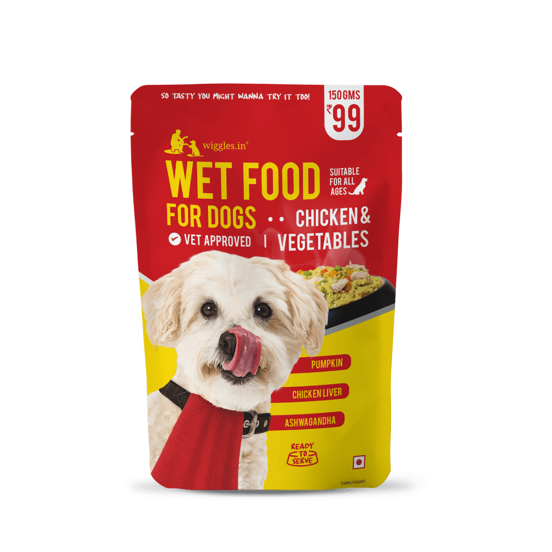 do older dogs need soft food