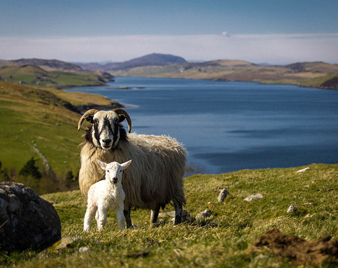 Isle of Lewis landscape