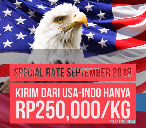 Promo kirim dari USA ke INDONESIA...</p>
      
    </div>

    <p class=