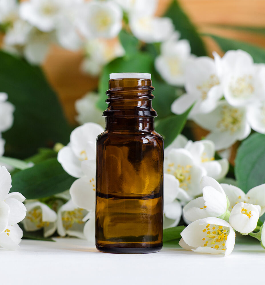 Jasmine Essential Oil Benefits – 100% PURE