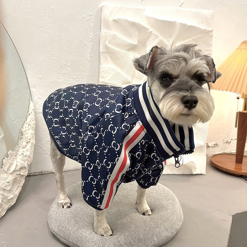 Coco Chanel Dog Clothes