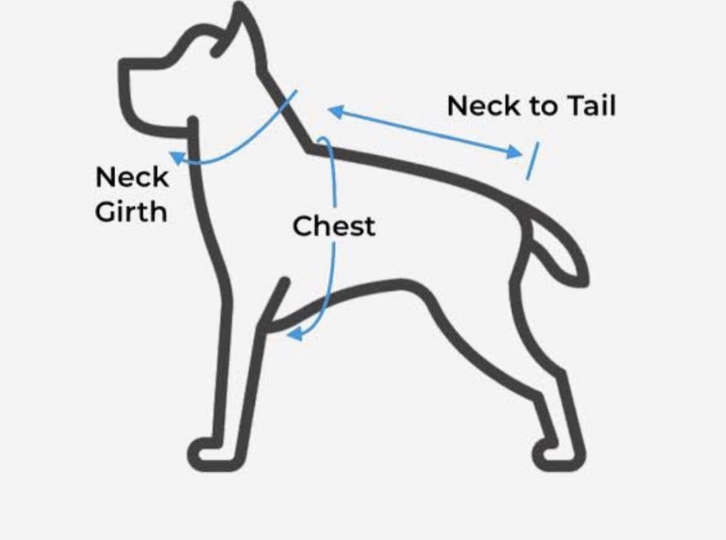 where do you measure girth on a dog