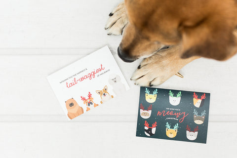 Our Cards in Support of the SPCA