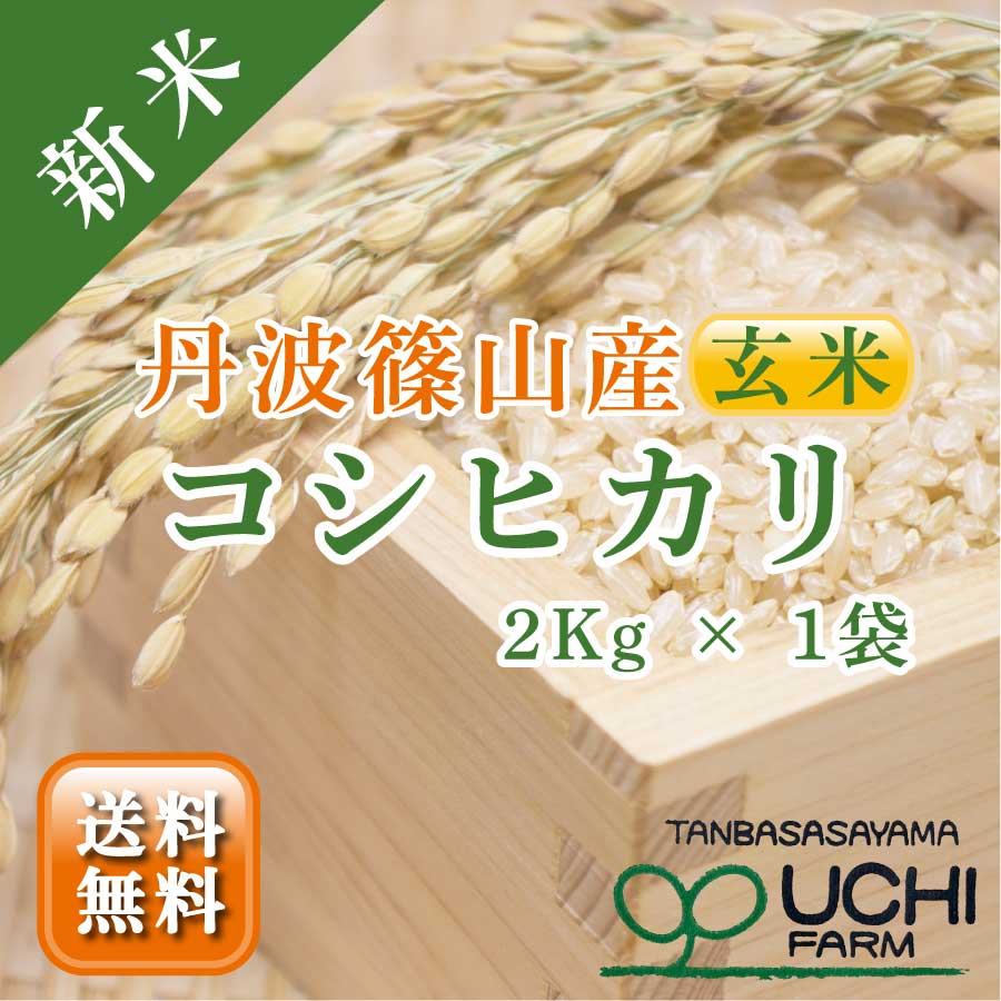 清流育ち 兵庫県丹波篠山米 玄米30kg✕2袋(減農薬,減化学肥料栽培)