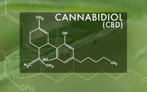 CBD (Cannabidiol) is one of the best known molecules alongside THC