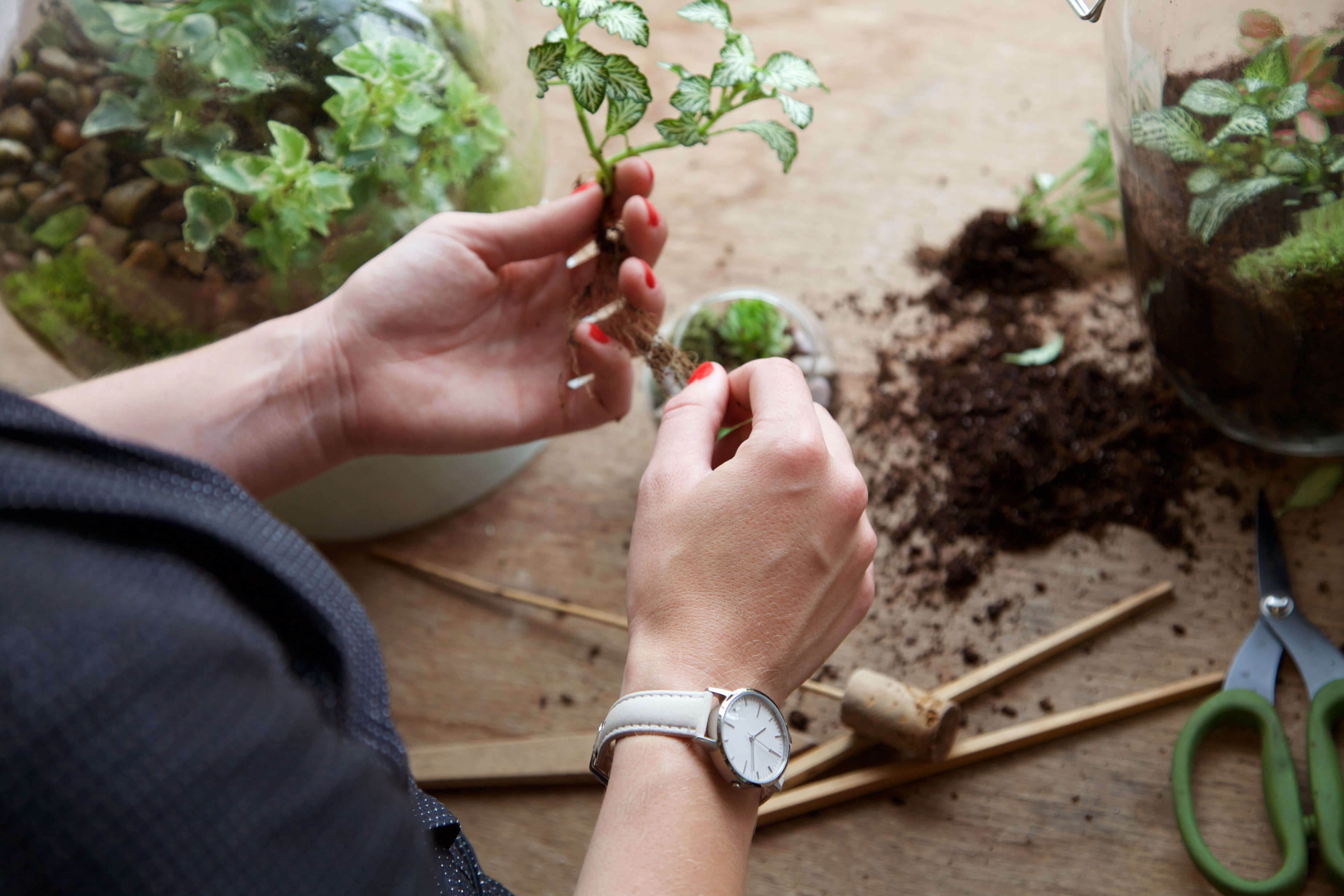 Simple Luxury Watch - Rose Gold, Grey & Cream Leather - London Terrariums - Freedom To Exist