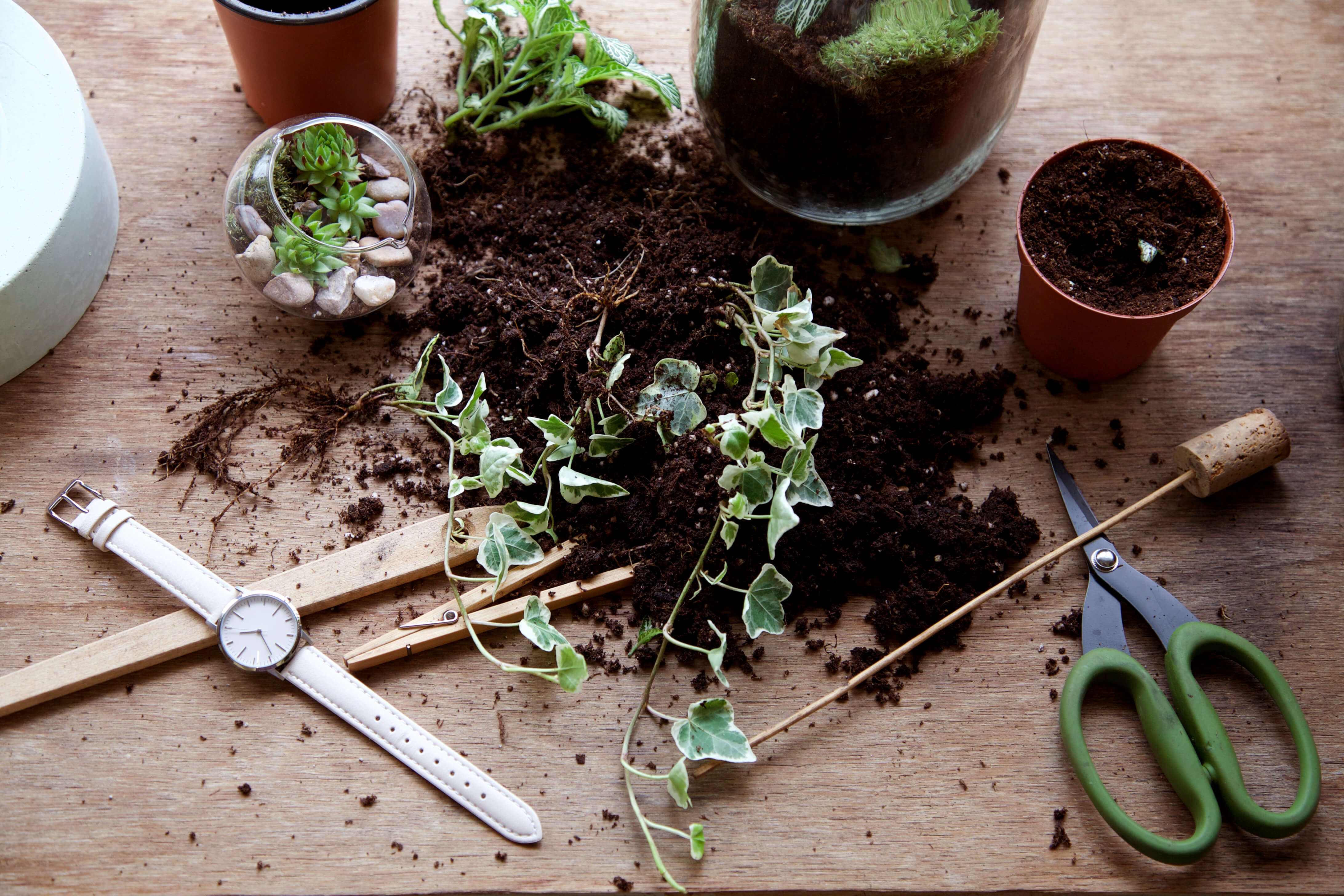 Simple Luxury Watch - Rose Gold, Grey & Cream Leather - London Terrariums - Freedom To Exist