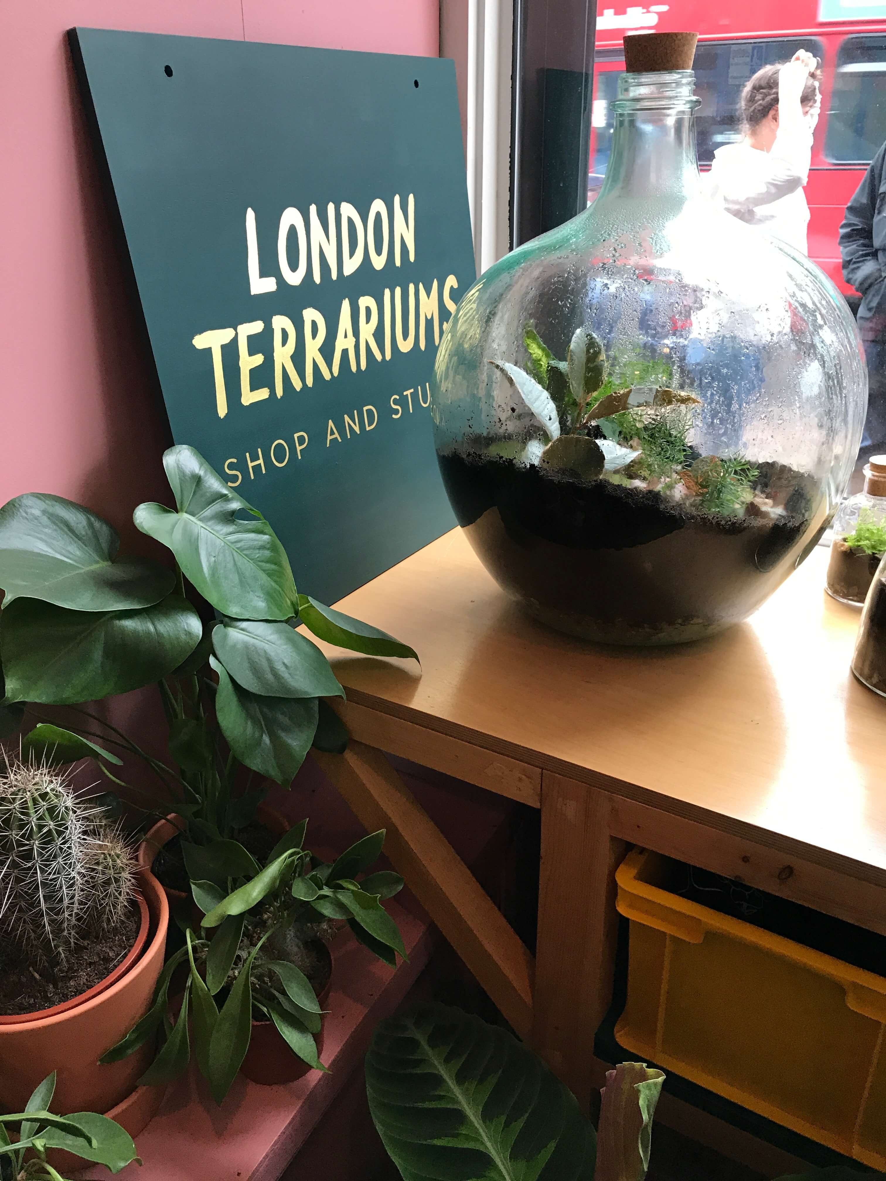 London Terrariums - Emma Sibley - Shop - John Lewis