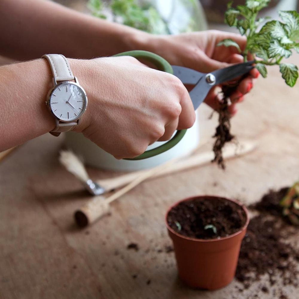 Emma Sibley | London Terrariums | Freedom To Exist Watches - Silver & Cream 30mm watch