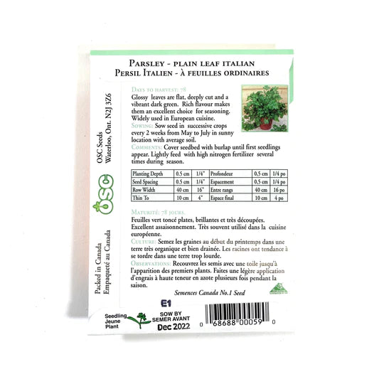 Plain Leaf Italian Parsley