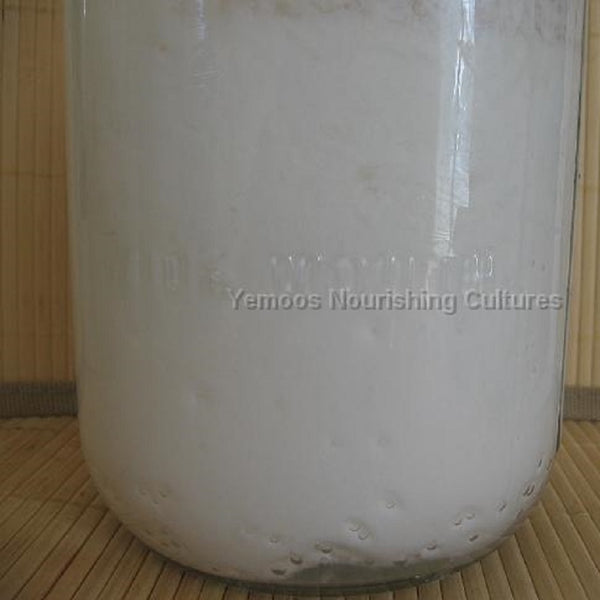 How To Change Yeasty Kefir Into Bacteria Rich Kefir Yemoos Nourishing Cultures