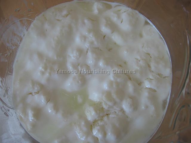 Kefir Top