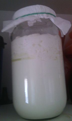 Skinny jar milk kefir