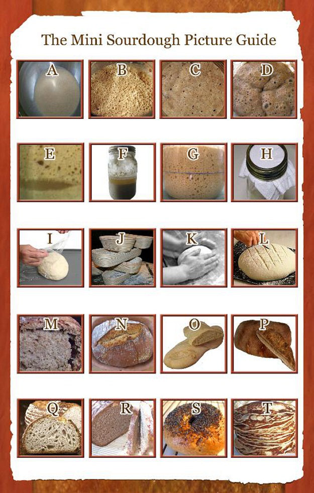 Troubleshooting sourdough