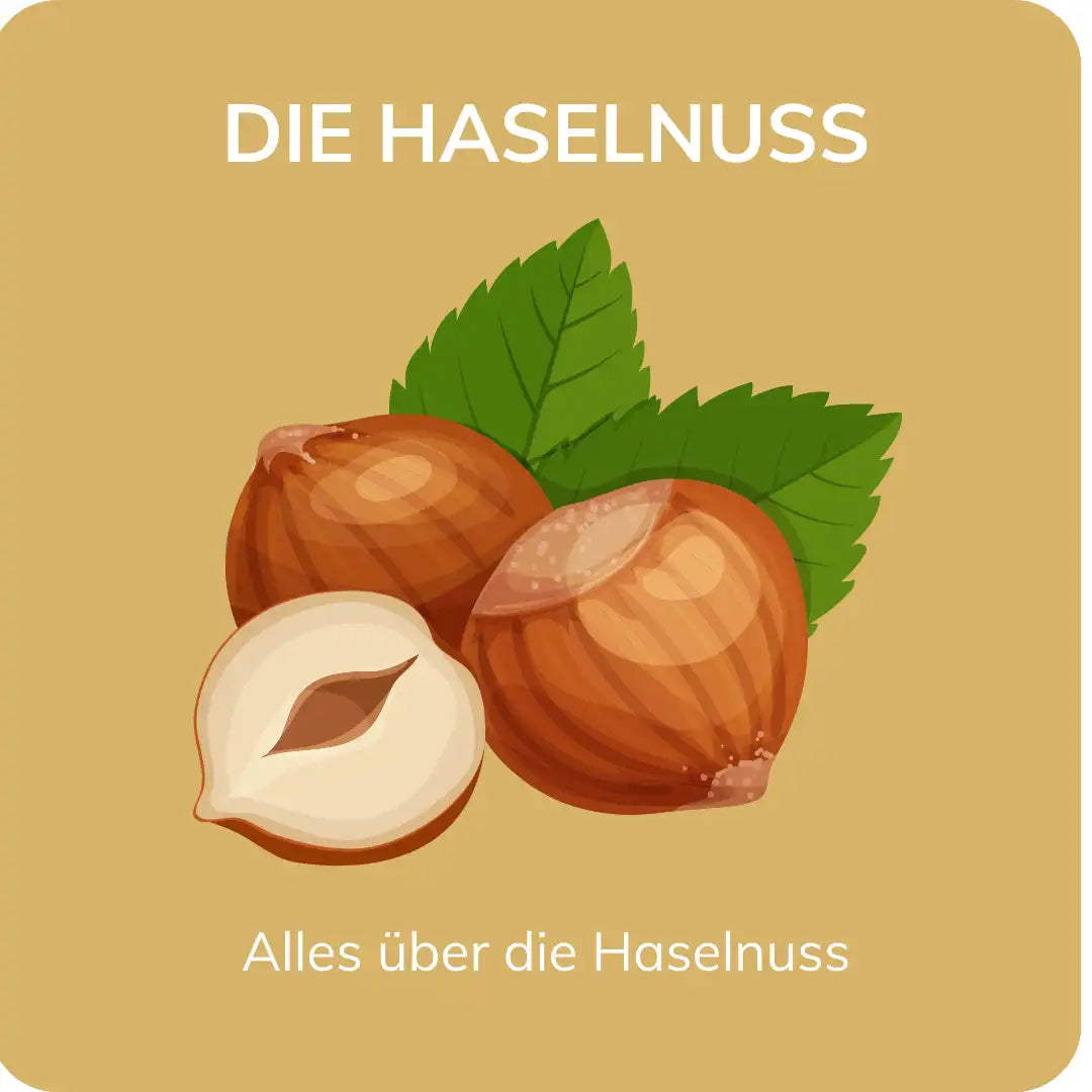 🌰 Alles was Du schon immer über Haselnüsse wissen wolltest – Genusssucht