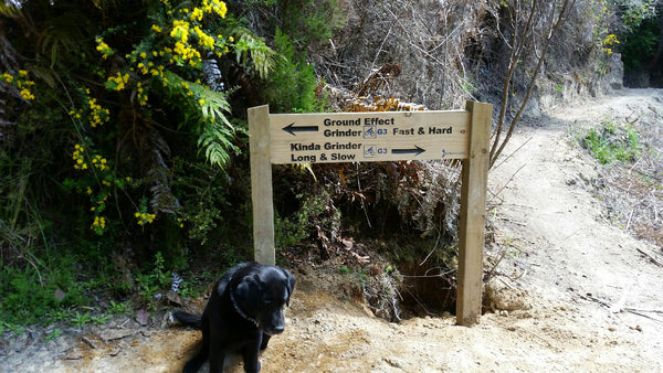 Ground Effect Grinder Craters MTB Park Taupo