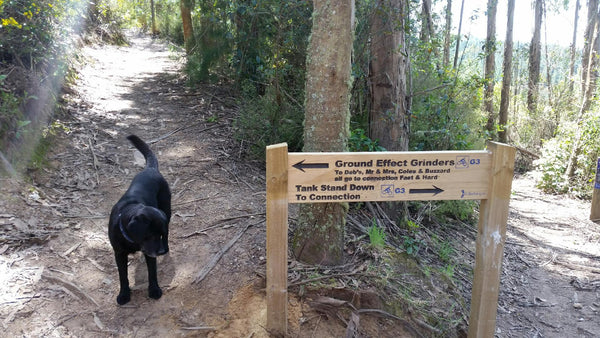 Ground Effect Grinder Craters MTB Park Taupo