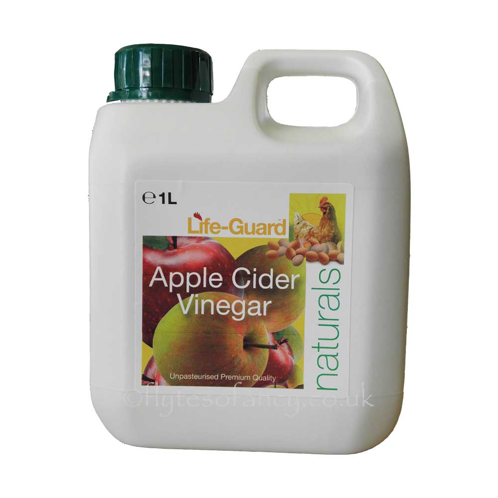 does apple cider vinegar kill worms in puppies