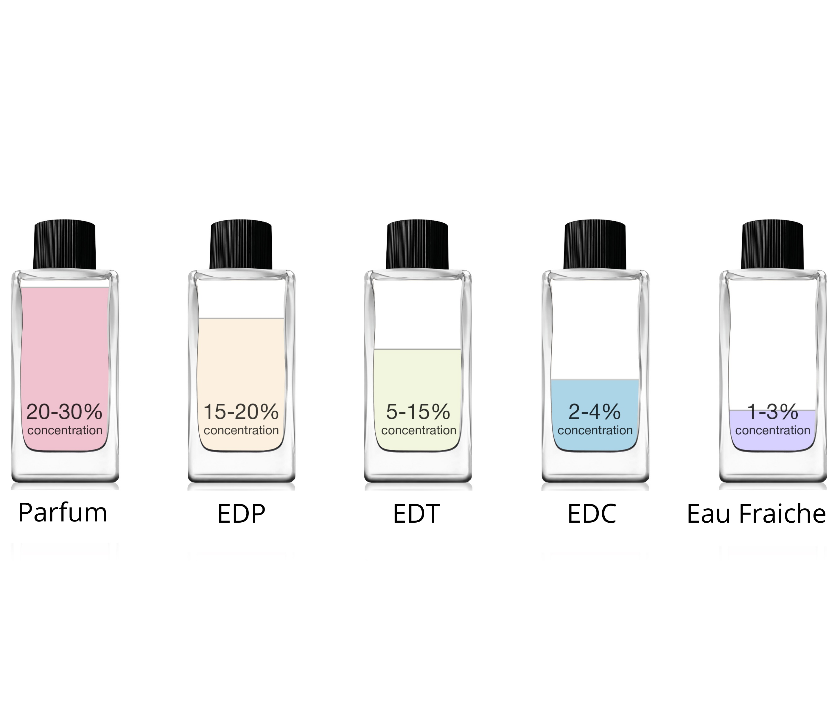 Types of perfume – Berlywud