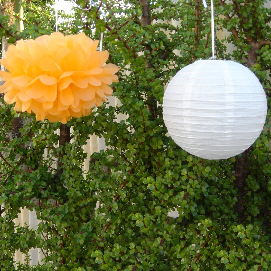 green and white paper lanterns