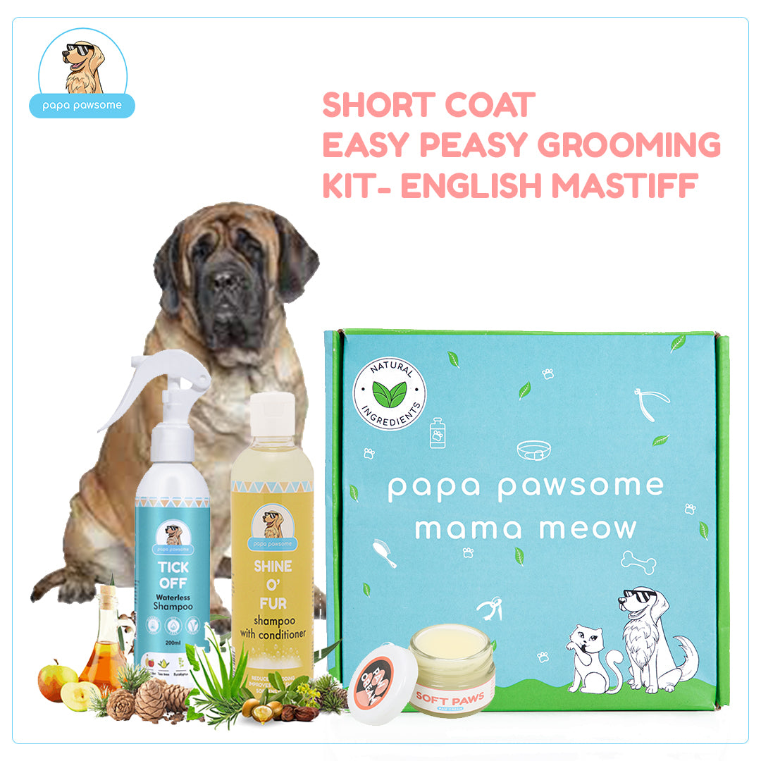 how do you groom english mastiff