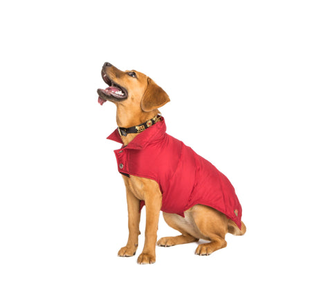 Goose Down Puffer, Brown, Cranberry Dog Coat