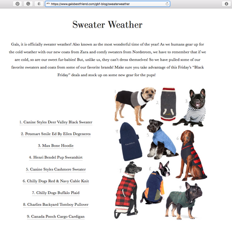 Best gear for sweater weather for dogs