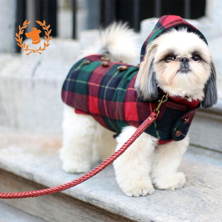 Braided Leather Classic Collar, Harnesses, and Leads