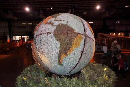 The Succulent Globe