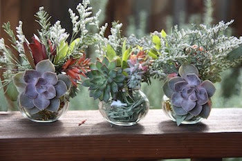 Succulent jelly jar ornaments