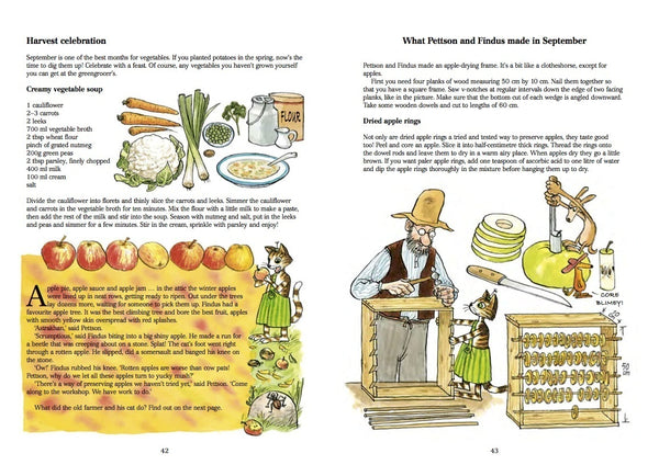 Findus, Food and Fun activity book