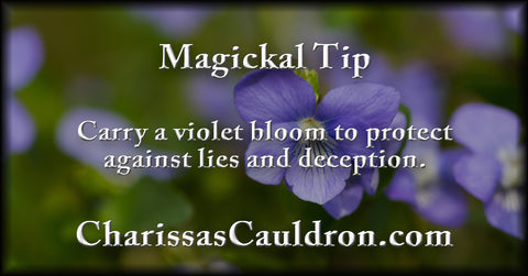 Violet blooms for deception